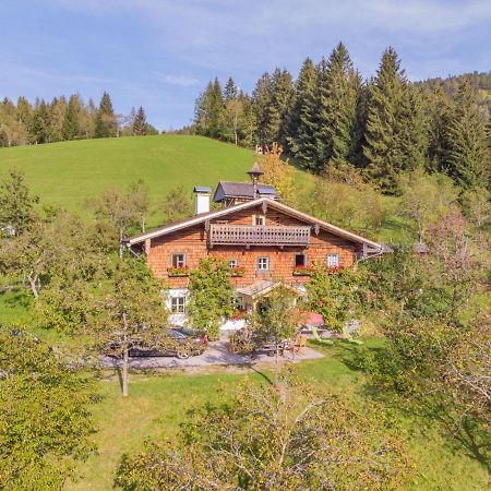 Holiday Home Oberhaslach By Interhome Abtenau Luaran gambar