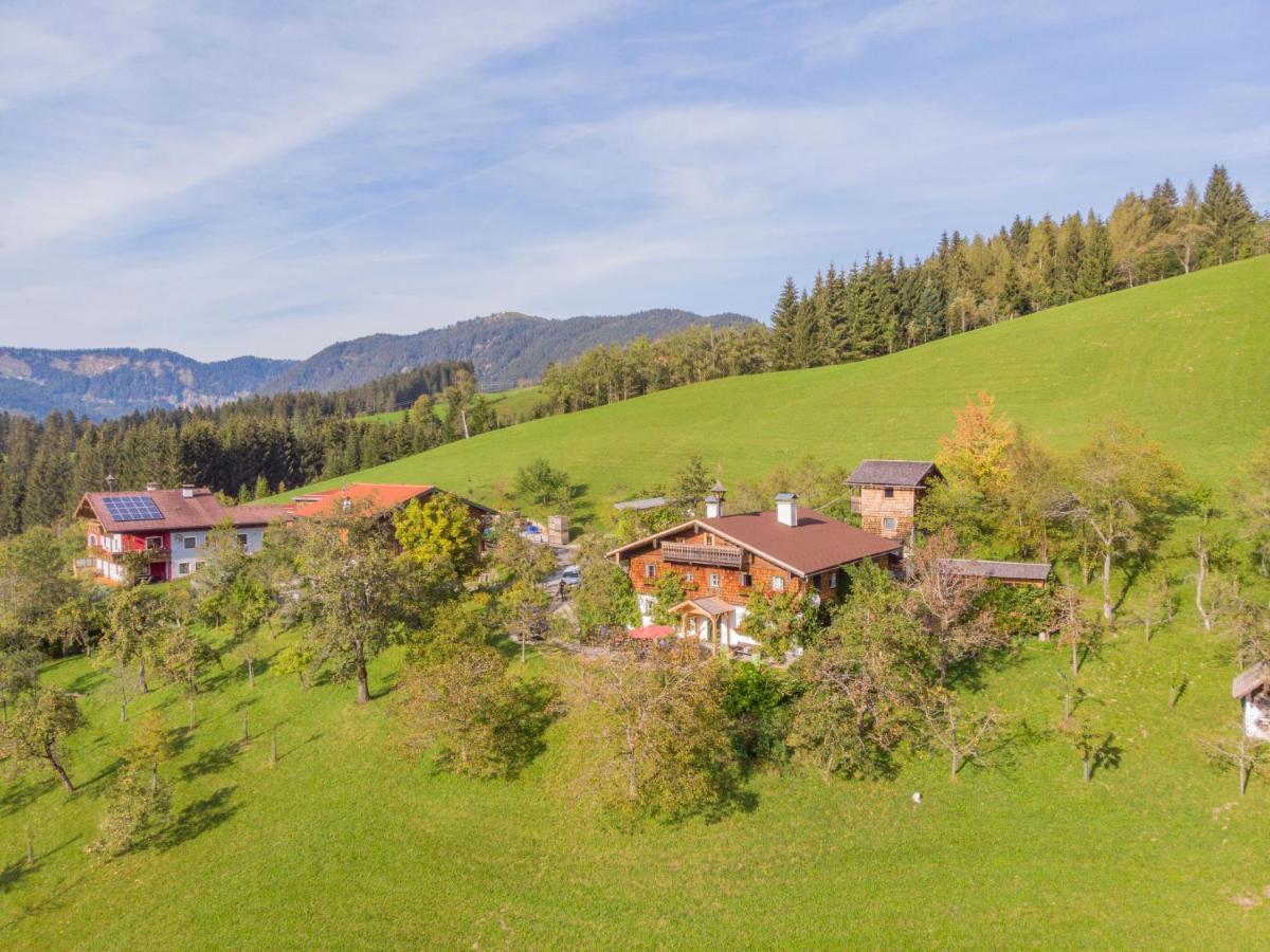 Holiday Home Oberhaslach By Interhome Abtenau Luaran gambar
