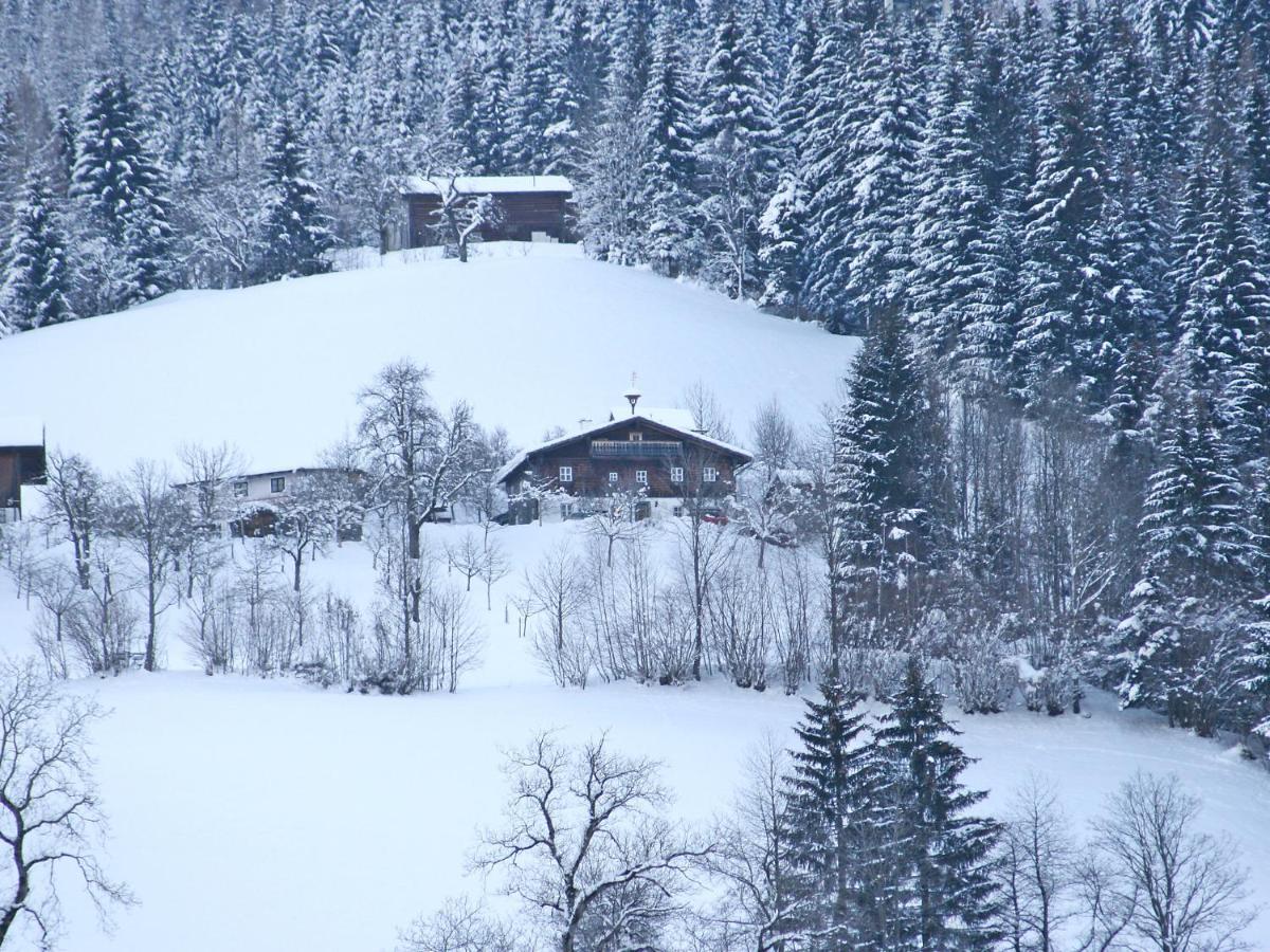 Holiday Home Oberhaslach By Interhome Abtenau Luaran gambar