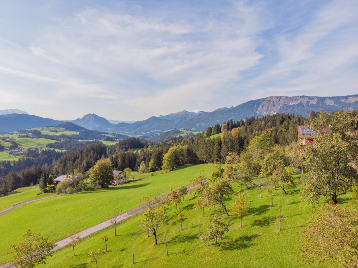 Holiday Home Oberhaslach By Interhome Abtenau Luaran gambar
